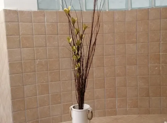 La Piazzetta Pignola